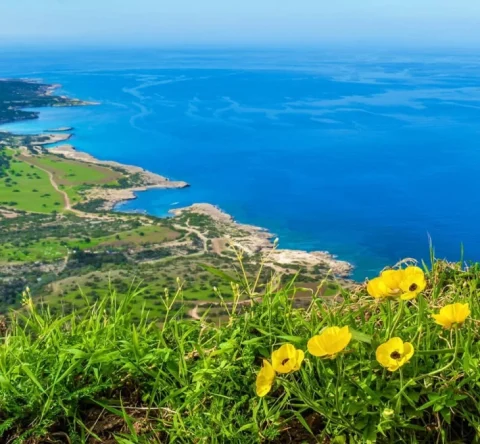 Минатата година Република Кипар ја посетиле над 4,5 милиони туристи