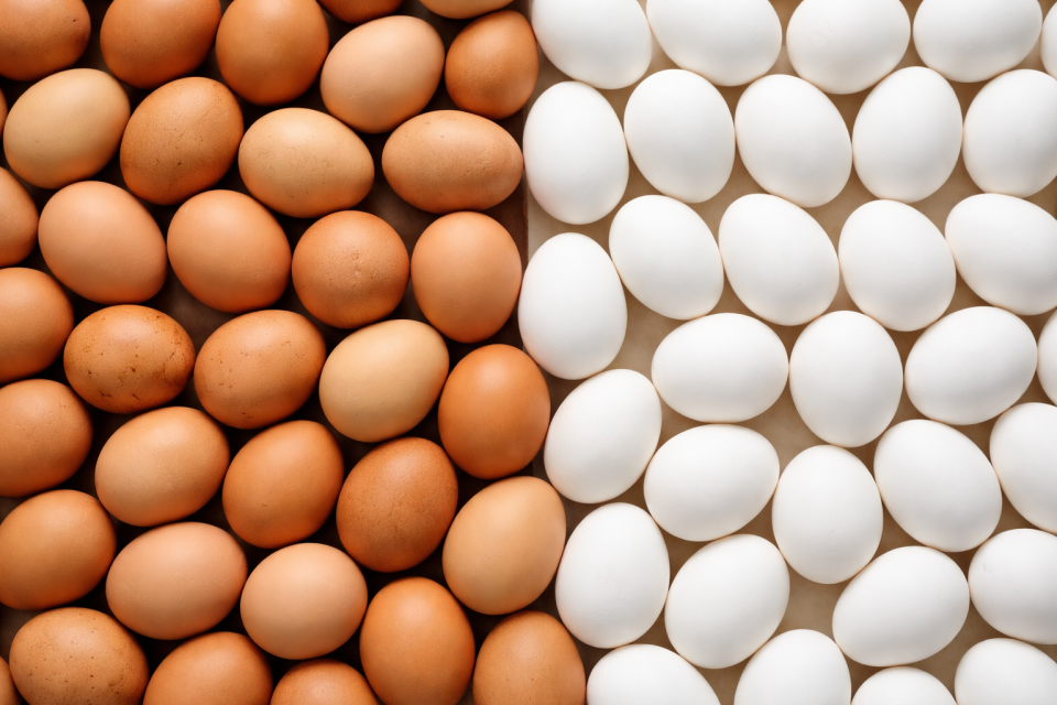 Нутриционист објаснил која е разликата помеѓу кафените и белите јајца и кои се подобри