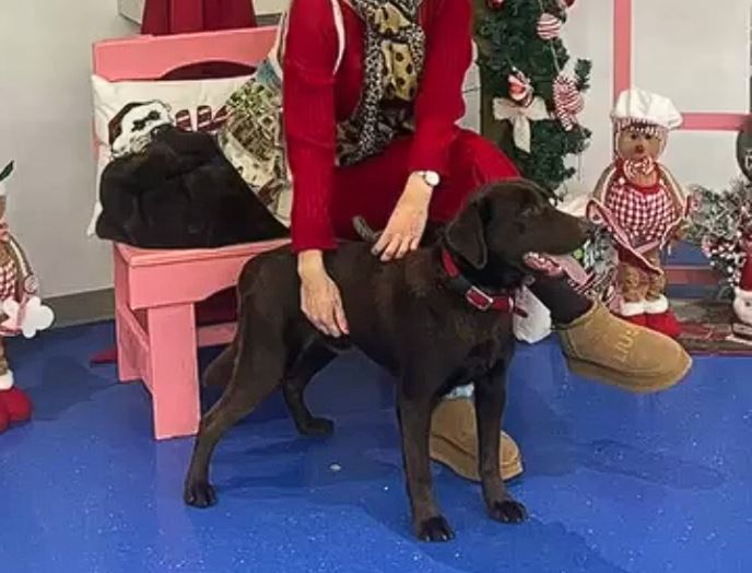 ВИДЕО: Универзитетска клиника за психијатрија доби нов член во тимот