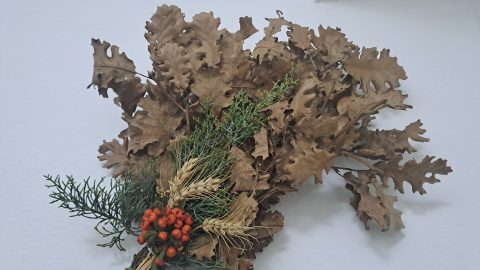 Еве кое е значењето на бадниково гранче