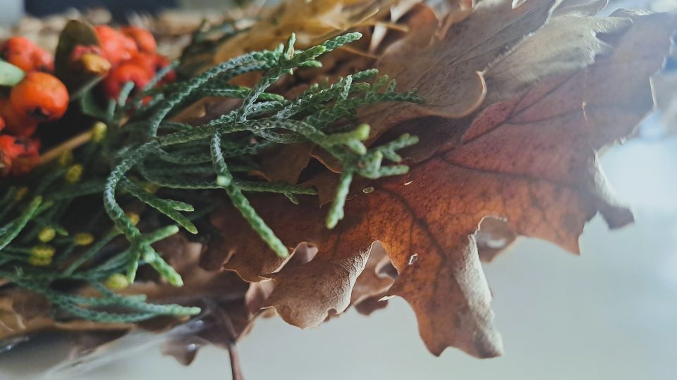 Обичаи – Кај и да си за Бадник дома да си…