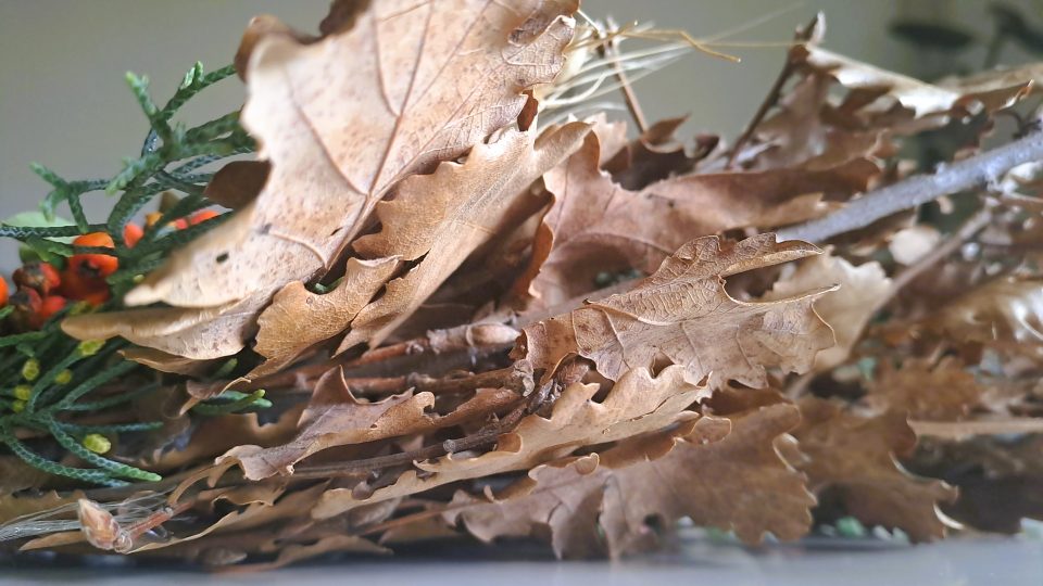 НЕ ГО ФРЛАЈТЕ: Еве што треба да направите со бадниковото гранче