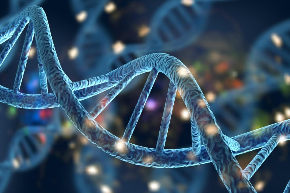 Генетиката одредува до 55 отсто од животниот век