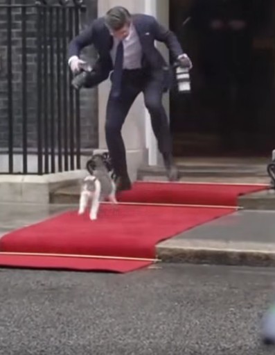 ВИДЕО: За малку меѓународен инцидент, мачорот Лари направи хаос при посетата на полскиот претседател на Даунинг стрит