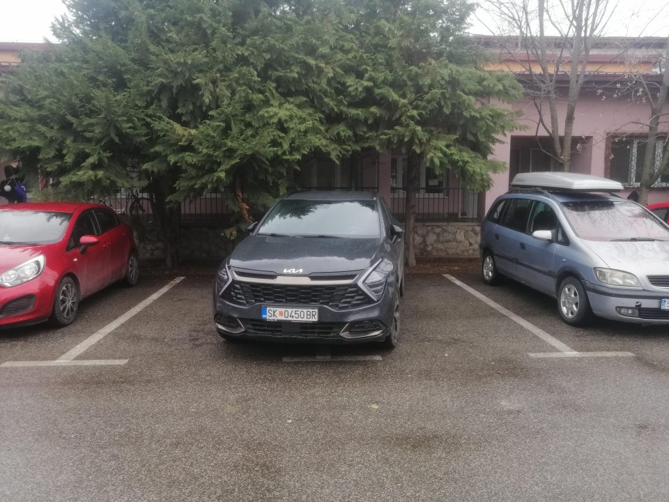 Шофер на денот