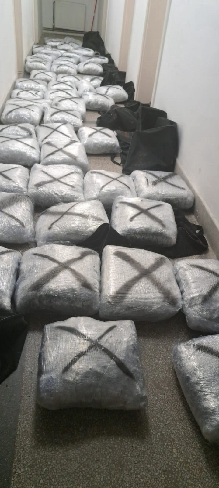 Јанев: Застанавме на патот на дрогата – Пораката е јасна, улиците нема да бидат простор за труење на граѓаните