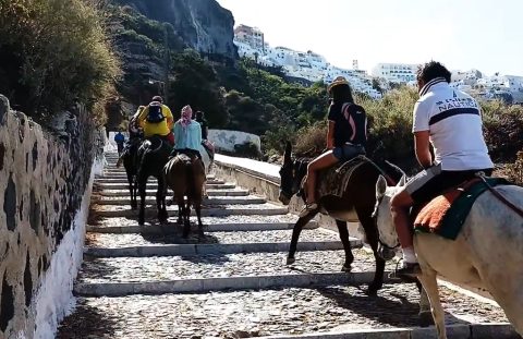 ВИДЕО: Туристите потешки од 100 килограми веќе нема да смее да јаваат магариња на Санторини