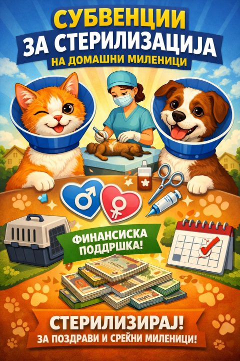 Стефковски: Објавен јавен повик за субвенционирање за стерилизација на домашни миленици