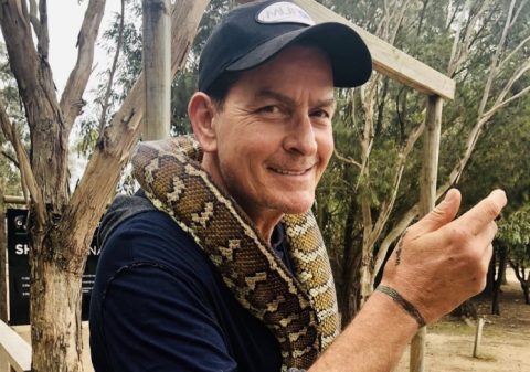 Од врвот до дното: Беше најголем заводник и најплатен актер, а денес Чарли Шин е болен, без пари и сам