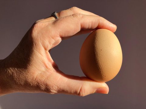 Богати обичаи за Прочка: Се повикува ветерот, а еве кое е значењето на амкањето