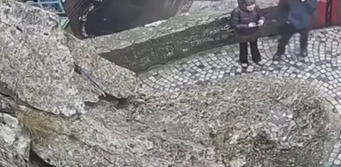 Одрон на карпа на пешачка патека во Кањон Матка (ВИДЕО)