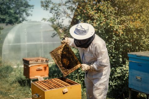 Повик за регионални центри за стручно образование и обука за акредитација на понудувачи на услуги за валидација