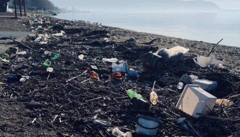 Концесионерите да ги чистат плажите во Струга, во спротивно ќе им стигне фактура