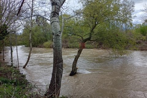 Евакуирани 180 лица од поплавени куќи во Кичево, во Беловиште заглавени две деца со мајка