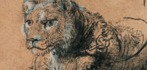 Сликата на лав од Рембрант продадена за речиси 18 милиони долари на аукција