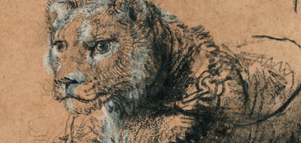 Сликата на лав од Рембрант продадена за речиси 18 милиони долари на аукција