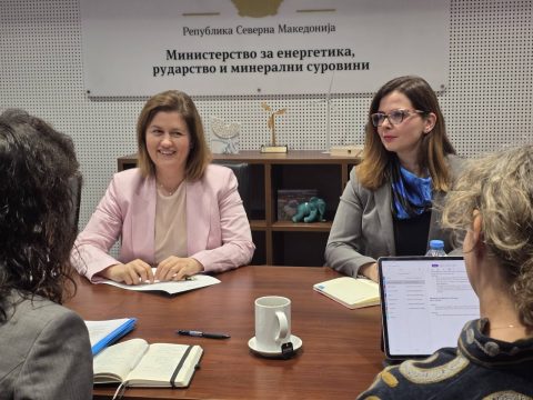 Божиновска-Ју: Модернизацијата во енергетиката и зелената транзиција клучни за енергетска одржливост