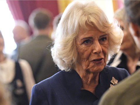 Кралицата Камила се „почести“ сo нови веѓи, платила 1700 евра