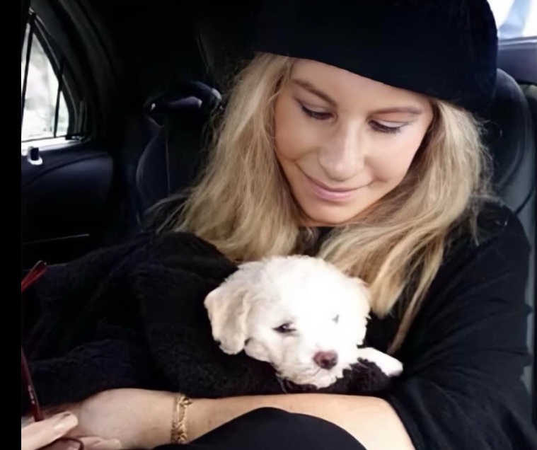 Барбара Стрејсенд ќе добие почесна „Златна палма“ во Кан