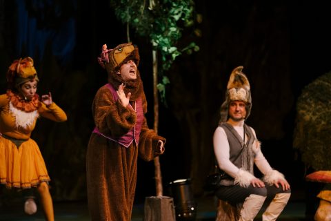 Изведба на детската интерактивна музичка претстава „Операта на шумските животни“