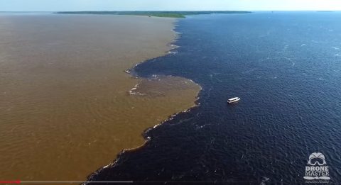 Неверојатна глетка во Бразил: Две реки се среќаваат, но не се мешаат