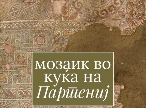 По долго време: Се открива уште едно скриено богатство на Стоби – мозаик во Куќата на Партениј