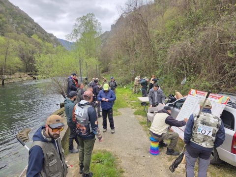 Спин лига на Треска